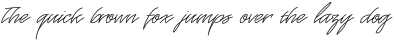 JVNESauvage Light otf (300)