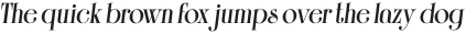 Solingen Extra Bold Italic otf (700)