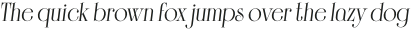 Solingen Semi Bold Italic otf (600)