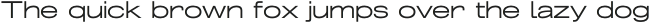 Grillmaster Narrow Light Italic otf (300)