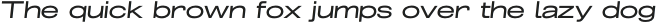 GrillmasterExpanded-Italic otf (400)