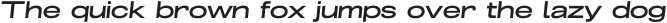 Grillmaster Extra Bold Italic otf (700)