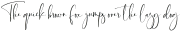 Phistop otf (400)