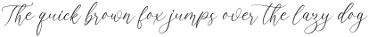 Opera Signature Script otf (400)
