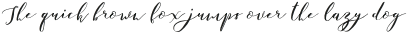 Catandra Brush Script Regular otf (400)