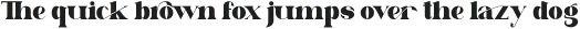 Literacy Serif Font otf (400)