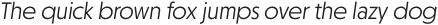 Otterco Light Italic otf (300)