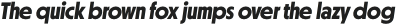 Otterco Display Bold Italic otf (700)