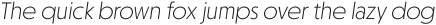 Otterco ExtraLight Italic otf (200)