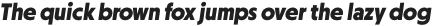 Otterco ExtraBold Italic otf (700)