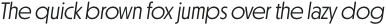 Otterco Display Light Italic otf (300)