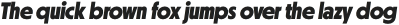 Otterco Display ExtraBold Italic otf (700)