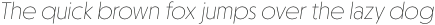 Otterco Thin Italic otf (100)