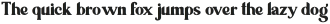 Ravioli Serif Font otf (400)