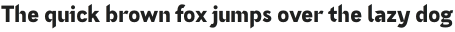 Nettle Sans Black otf (900)