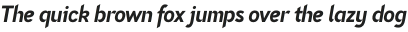 Nettle Sans Bold Italic otf (700)