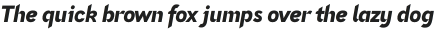 Nettle Sans Black Italic otf (900)