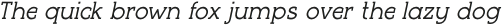 Coinarum Light Italic otf (300)
