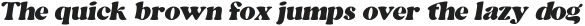 Snug Italic otf (400)
