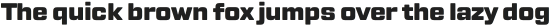 TT Lakes Neue Light otf (300)