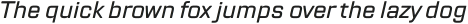 TT Lakes Neue Expanded Black Italic otf (900)