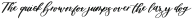 Christmas Market Script Regular otf (400)