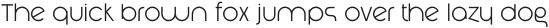 Amonos display Light otf (300)