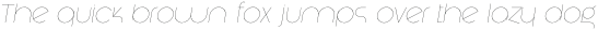 Amonos display ThinItalic otf (100)