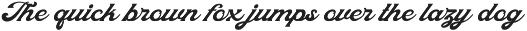 Fedian Script - Retro Font preview