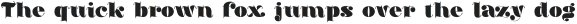 THESHOUTING-Regular otf (400)