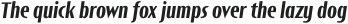 Short Films XBold It otf (700)