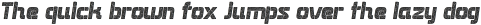Dhaster Rough Italic ttf (400)