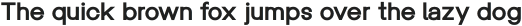 Univa Nova Bold otf (700)