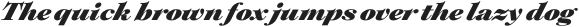 Plethora Black Italic otf (900)