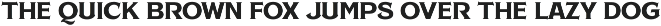 NS Lasttown Vintage Font preview