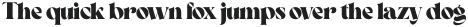 Sonder Black otf (900)