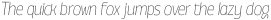 Annuario Thin Italic otf (100)