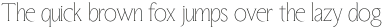 ED Fettle Serif Thin otf (100)