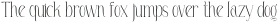 LE Baffec Thin ttf (100)