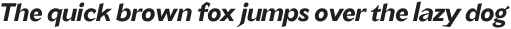 TG Minagi Sans Bold Oblique otf (700)