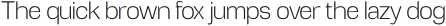 Tatype Light otf (300)