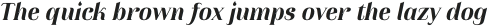 TATypefire-BoldItalic otf (700)