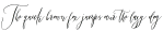 Mansions Brush Script otf (400)