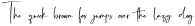 Modern Mira Script otf (400)