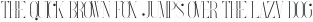 FrenchVP Light otf (300)
