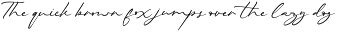 Beautiella - Casual Signature Script preview