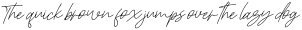 Christina Signature Italic otf (400)