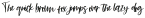 Summer Paradise Script Regular otf (400)
