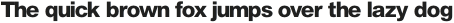 Thoren Sans Heavy otf (800)