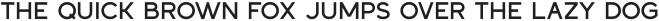 Dress Code Medium otf (500)